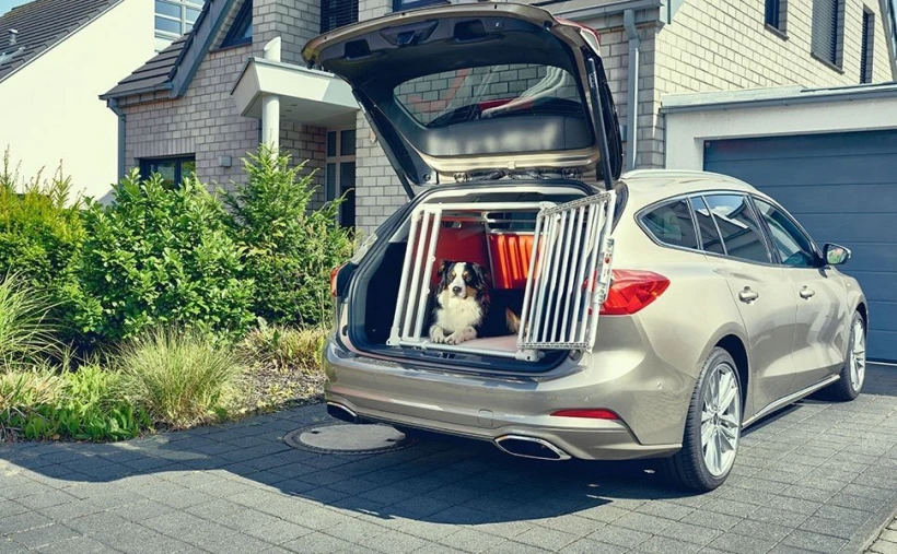 dogtravel3.jpg?v=0 dogtravel3.jpg?v=0