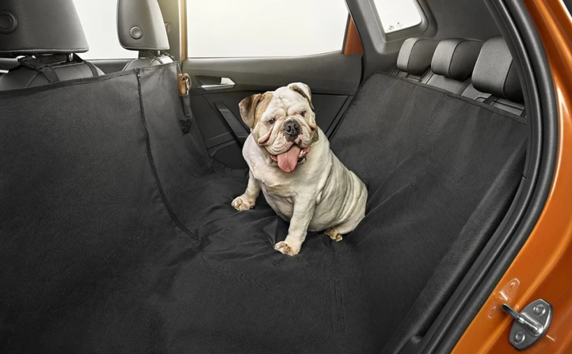 dogtravel3a.jpg?v=0 dogtravel3a.jpg?v=0