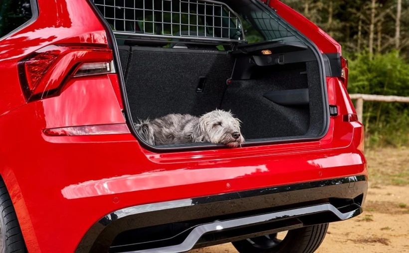 dogtravel3f.jpg?v=0 dogtravel3f.jpg?v=0