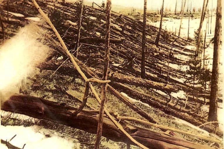 Θάμνοι και φυτά που κάηκαν μετά την πρόσκρουση / Φωτ.: Wikipedia Θάμνοι και φυτά που κάηκαν μετά την πρόσκρουση / Φωτ.: Wikipedia