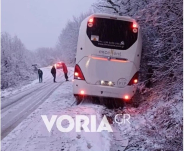 nausa-2.jpg nausa-2.jpg