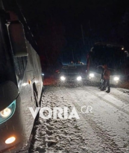 nausa-3.jpg nausa-3.jpg