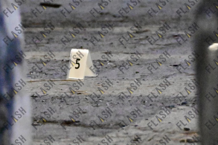 Φωτ.: Γιάννης Κέμμος / flash.gr Φωτ.: Γιάννης Κέμμος / flash.gr