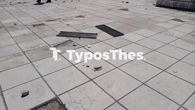 Typosthes Typosthes