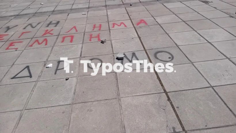 Typosthes Typosthes