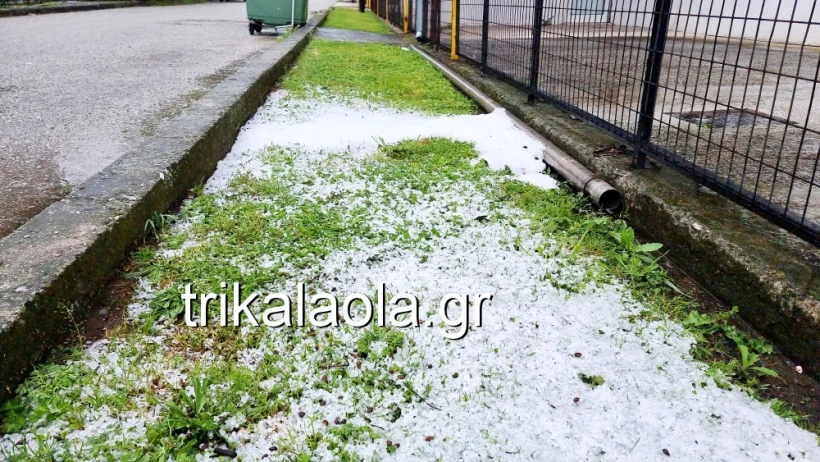 trikalaola.gr trikalaola.gr