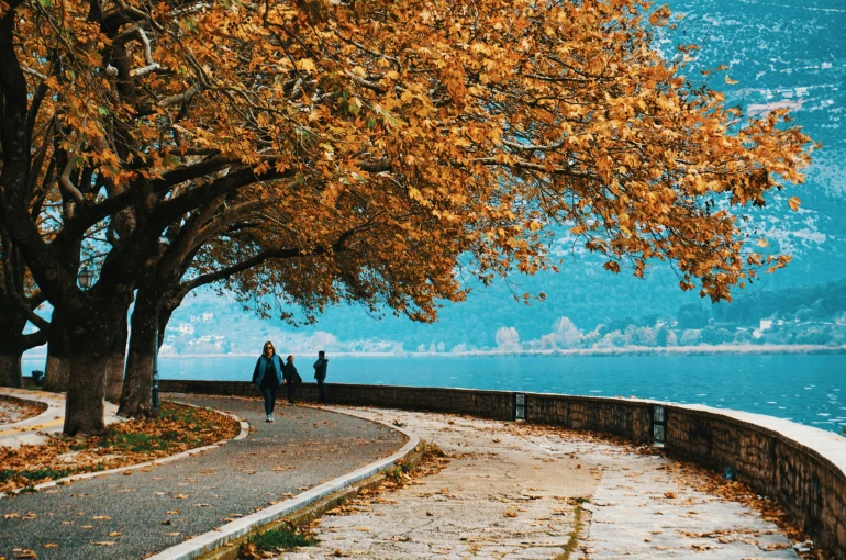 Φωτό: Unsplash Φωτό: Unsplash