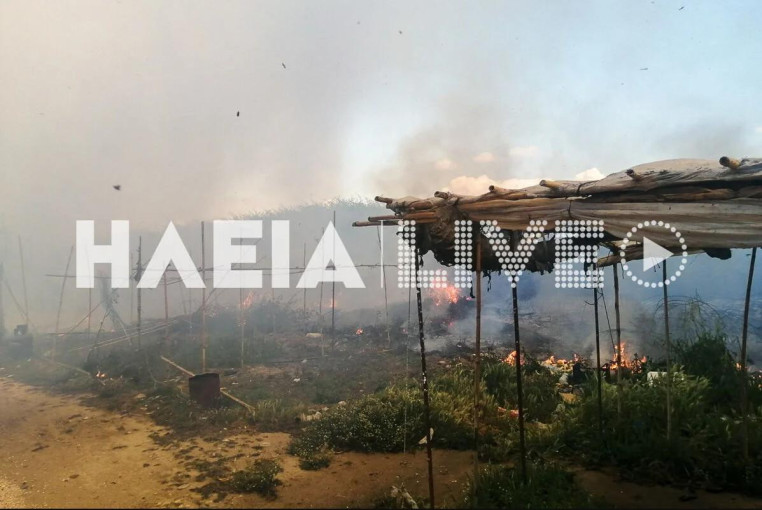 Φωτ.: ilialive.gr Φωτ.: ilialive.gr