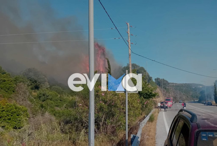 Φωτό: evima.gr Φωτό: evima.gr