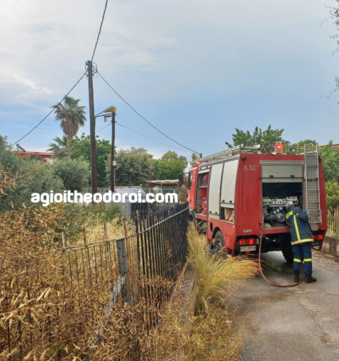 πηγή: agioitheodoroi πηγή: agioitheodoroi