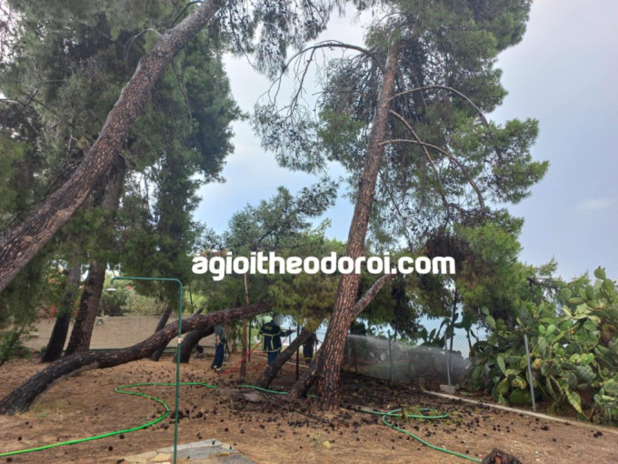 πηγή: agioitheodoroi πηγή: agioitheodoroi