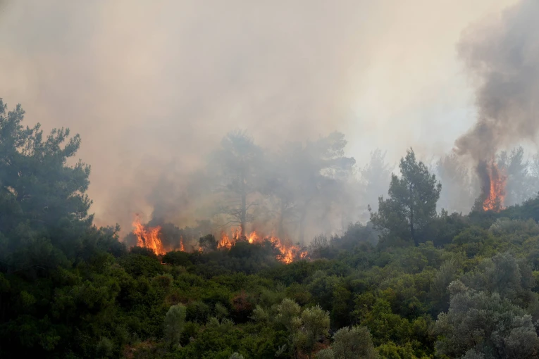 Φωτό: IMAGO/Anadolu Agency Φωτό: IMAGO/Anadolu Agency