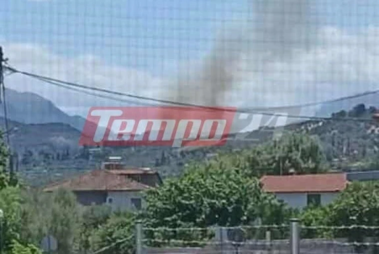 Tempo24 Tempo24