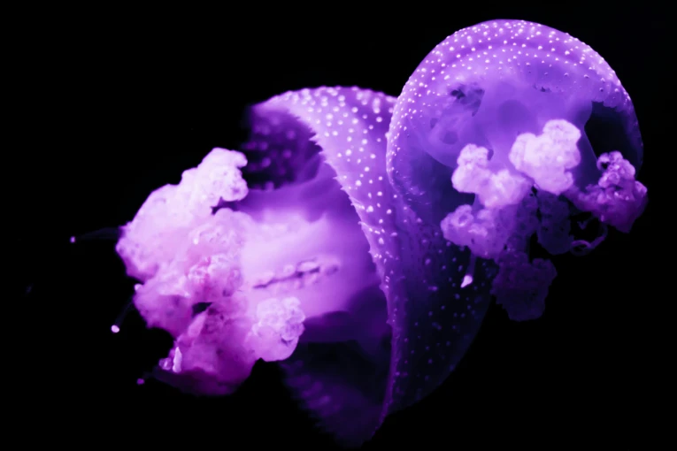 Φωτό: Unsplash Φωτό: Unsplash