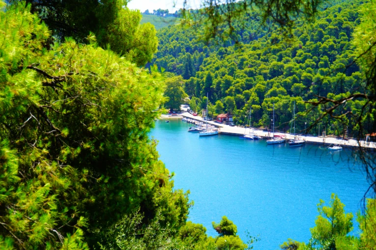 Η παραλία Αγνώντας στη Σκόπελο. Φωτό: IMAGO / Dreamstime Η παραλία Αγνώντας στη Σκόπελο. Φωτό: IMAGO / Dreamstime