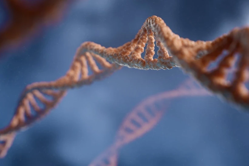 dna-unsplash.jpg?v=0 dna-unsplash.jpg?v=0