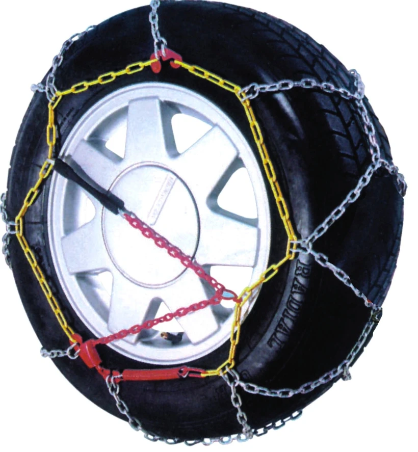 2025alisides1.jpg?v=0 2025alisides1.jpg?v=0