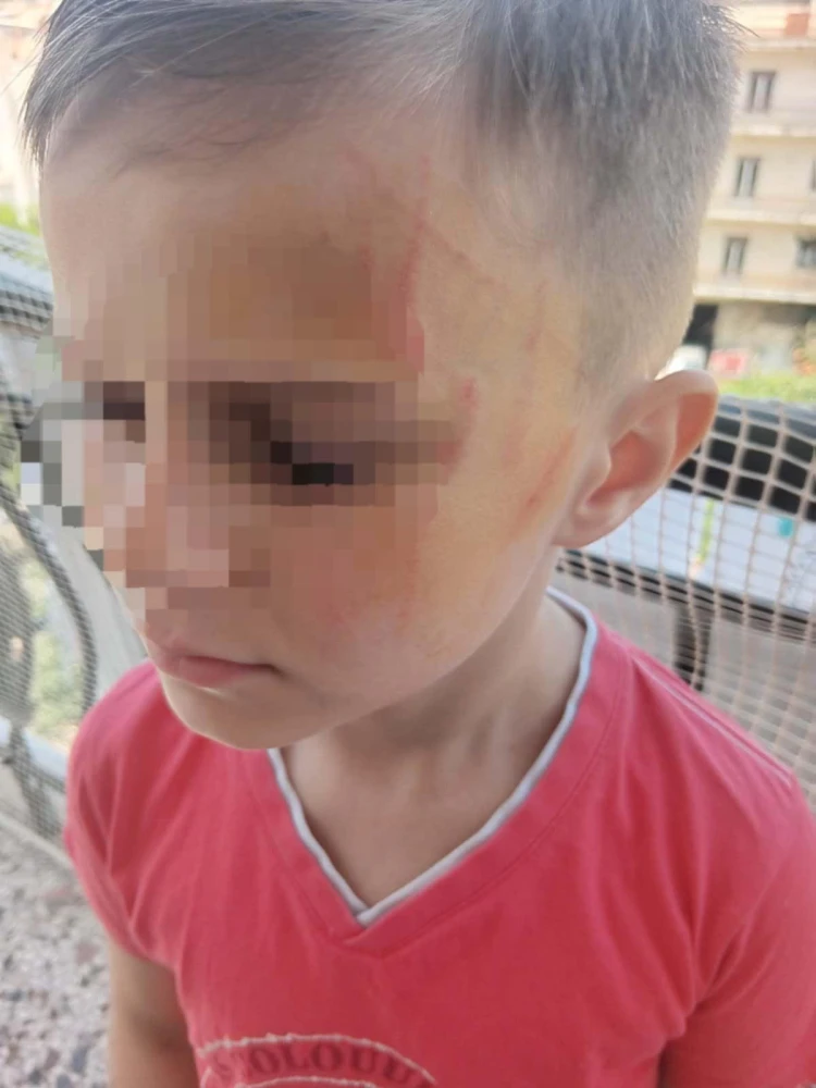 πηγή: sinidisi.gr πηγή: sinidisi.gr