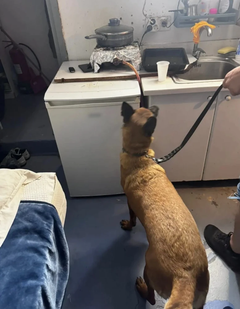 Φωτ.: ΕΛΑΣ Φωτ.: ΕΛΑΣ