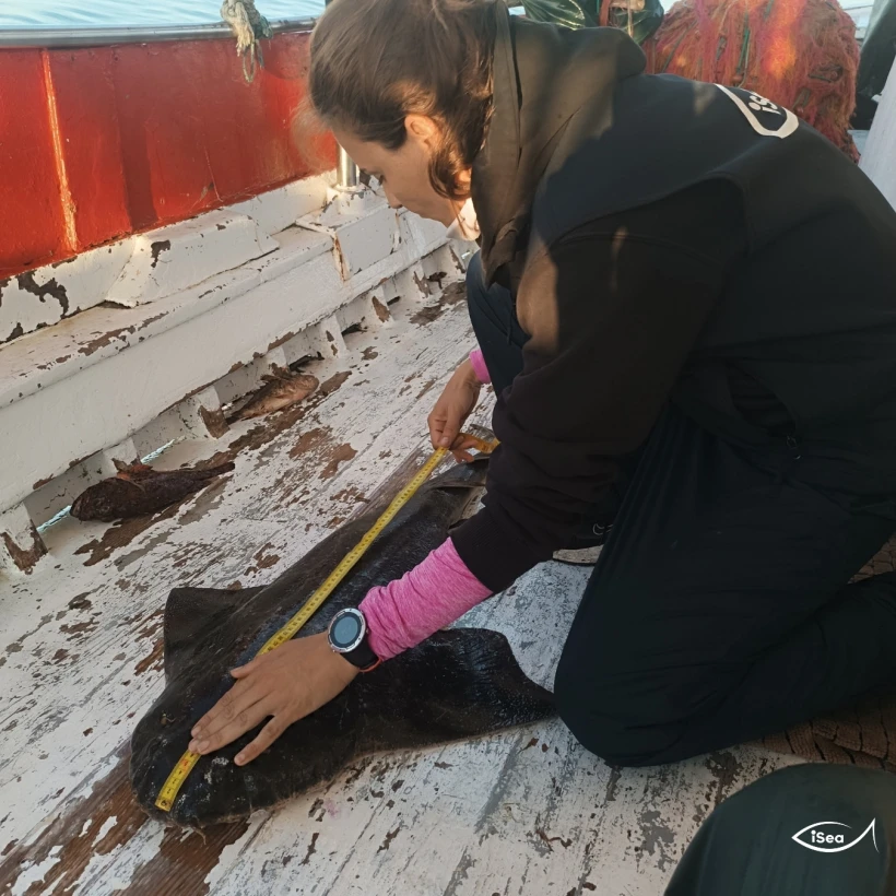 iSea - Φωτογραφία ΑΠΕ