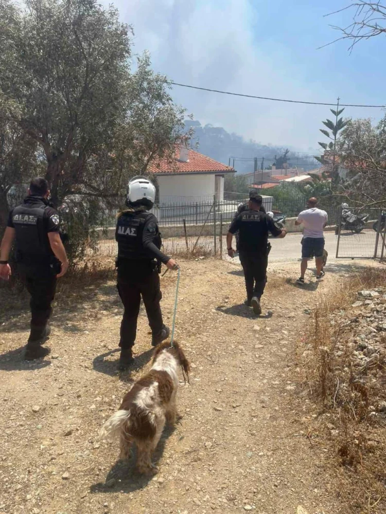 Πηγή: ΕΛ.ΑΣ. Πηγή: ΕΛ.ΑΣ.