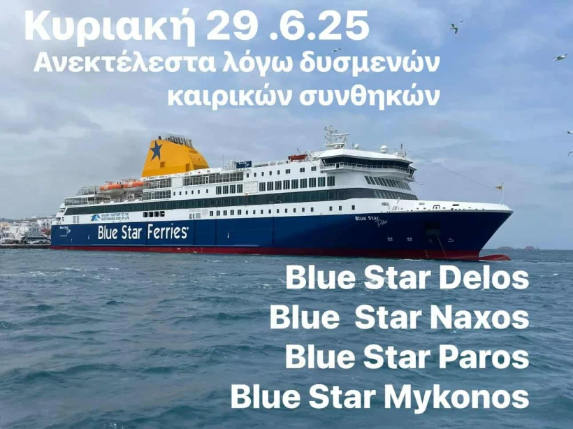 bluestars.jpg bluestars.jpg