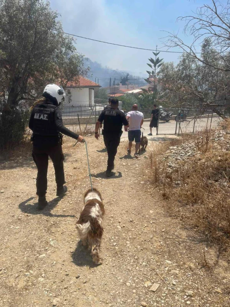 Πηγή: ΕΛ.ΑΣ. Πηγή: ΕΛ.ΑΣ.