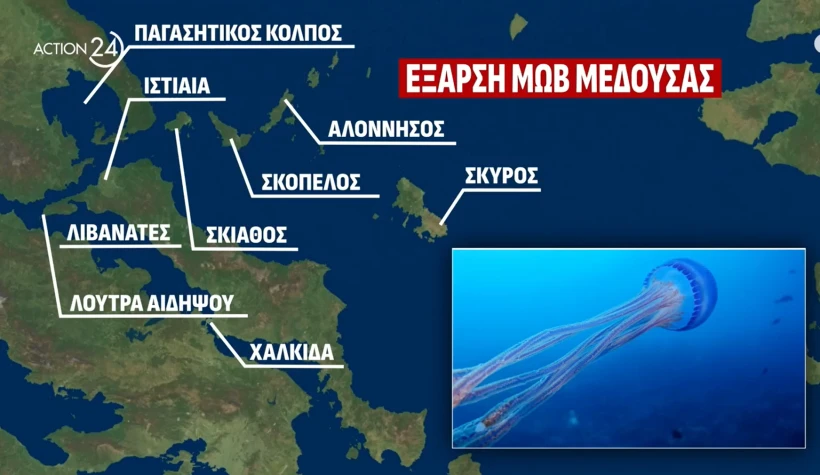 mov-meddusa.png mov-meddusa.png