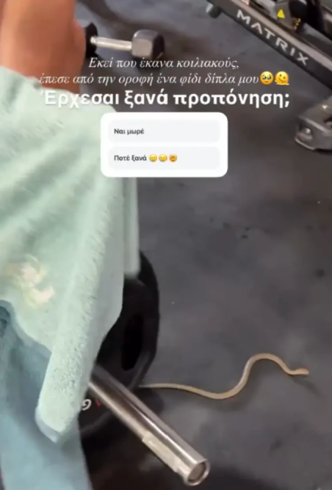 INSTAGRAM INSTAGRAM