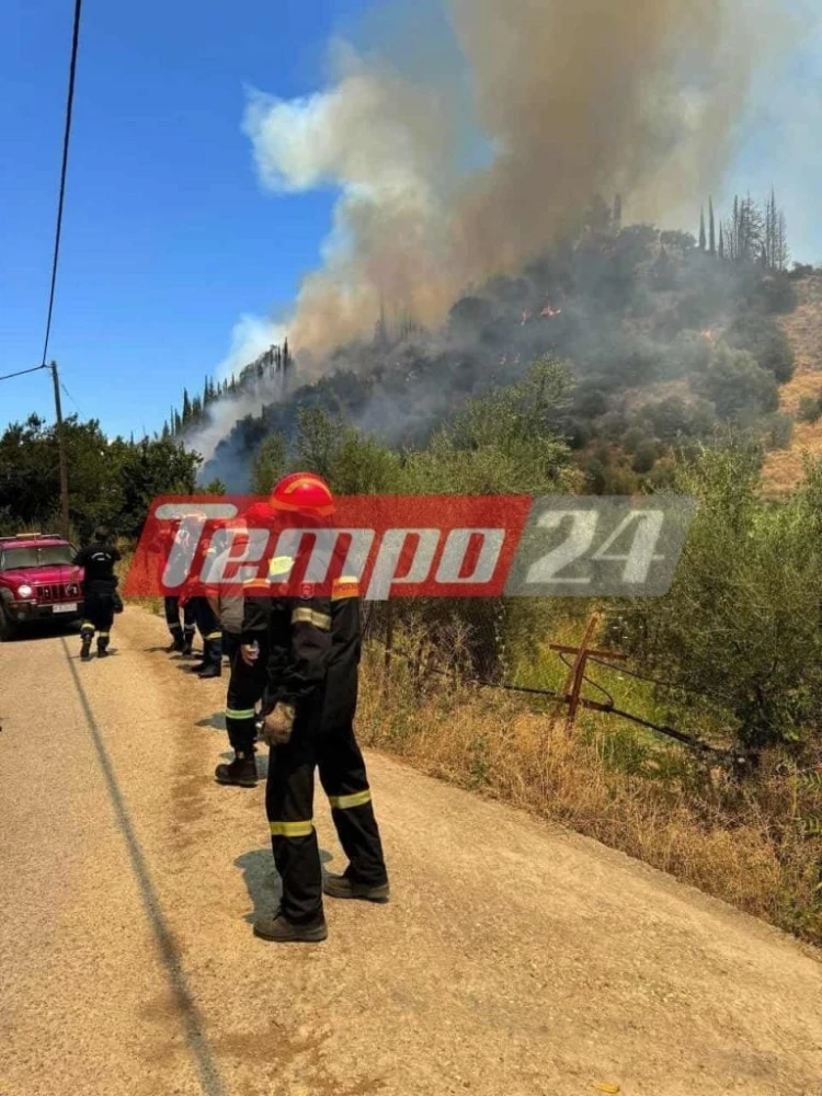 Tempo24 Tempo24
