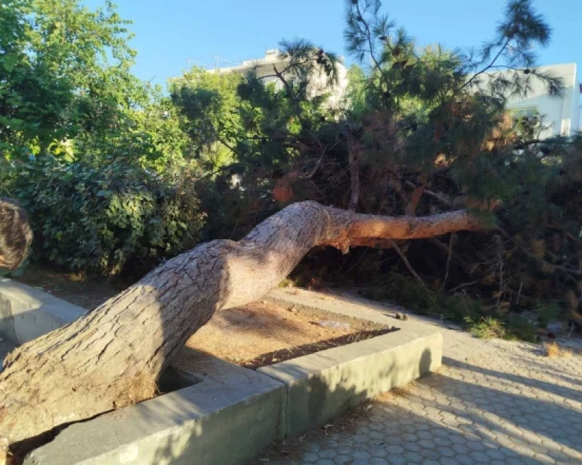neakriti.gr neakriti.gr