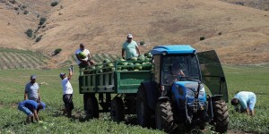 Τέλος η «τεχνική λύση» στις φετινές δηλώσεις ΟΣΔΕ - Οι ενισχύσεις θα καταβληθούν κανονικά Τέλος η «τεχνική λύση» στις φετινές δηλώσεις ΟΣΔΕ - Οι ενισχύσεις θα καταβληθούν κανονικά