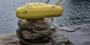 Blue Horizon: Ποινική δίωξη σε βάρος των 4 συλληφθέντων για τη δολοφονία του 36χρονου Blue Horizon: Ποινική δίωξη σε βάρος των 4 συλληφθέντων για τη δολοφονία του 36χρονου