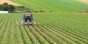 Κλιματική κρίση: Πλήγμα 28 δισ. ευρώ τον χρόνο για τον αγροτικό τομέα της ΕΕ Κλιματική κρίση: Πλήγμα 28 δισ. ευρώ τον χρόνο για τον αγροτικό τομέα της ΕΕ
