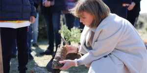 Δενδροφύτευση στην Πάρνηθα από την Σακελλαροπούλου για τη Διεθνή Μέρα Δασών Δενδροφύτευση στην Πάρνηθα από την Σακελλαροπούλου για τη Διεθνή Μέρα Δασών