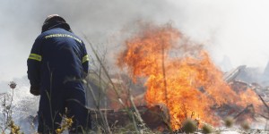 Μαγνησία: Υπό μερικό έλεγχο η φωτιά στον Πτελεό Μαγνησία: Υπό μερικό έλεγχο η φωτιά στον Πτελεό