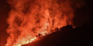 Μάχη με τις αναζωπυρώσεις στη Στιμάγκα Κορινθίας - 35 φωτιές το τελευταίο 24ωρο Μάχη με τις αναζωπυρώσεις στη Στιμάγκα Κορινθίας - 35 φωτιές το τελευταίο 24ωρο