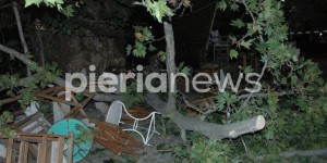 Τραγωδία στην Πιερία: Σκοτώθηκε 44χρονη από πτώση πλατάνου ενώ καθόταν σε καφέ Τραγωδία στην Πιερία: Σκοτώθηκε 44χρονη από πτώση πλατάνου ενώ καθόταν σε καφέ