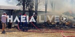 Πύργος: Φωτιά σε στάβλο με άλογα στον Πύργο Πύργος: Φωτιά σε στάβλο με άλογα στον Πύργο
