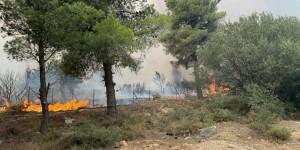 Φωτιές: Σε ποιες περιοχές προβλέπεται υψηλός κίνδυνος πυρκαγιάς την Τετάρτη 25 Ιουνίου Φωτιές: Σε ποιες περιοχές προβλέπεται υψηλός κίνδυνος πυρκαγιάς την Τετάρτη 25 Ιουνίου