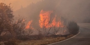 Φωτιά τώρα στην Αχαΐα - Επιχειρούν εναέρια μέσα Φωτιά τώρα στην Αχαΐα - Επιχειρούν εναέρια μέσα