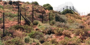 Ακαθάριστα οικόπεδα: «Δεν πρόκειται να δοθεί παράταση» λέει ο Κεφαλογιάννης - Πότε λήγει η προθεσμία Ακαθάριστα οικόπεδα: «Δεν πρόκειται να δοθεί παράταση» λέει ο Κεφαλογιάννης - Πότε λήγει η προθεσμία