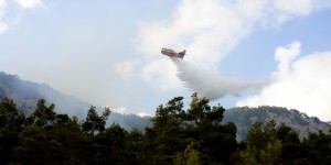Δράμα: Φωτιά στην περιοχή Χωριστή - Επιχειρούν 8 αεροσκάφη Δράμα: Φωτιά στην περιοχή Χωριστή - Επιχειρούν 8 αεροσκάφη
