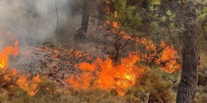 Πολύ υψηλός κίνδυνος για φωτιά την Κυριακή (15/6) - Δείτε σε ποιες περιοχές Πολύ υψηλός κίνδυνος για φωτιά την Κυριακή (15/6) - Δείτε σε ποιες περιοχές