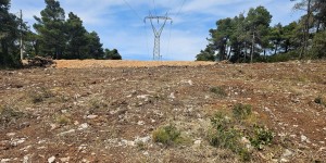 Η ώρα της κρίσης: Ξεκίνησαν οι έλεγχοι σε ακαθάριστα οικόπεδα – Έρχονται τσουχτερά πρόστιμα Η ώρα της κρίσης: Ξεκίνησαν οι έλεγχοι σε ακαθάριστα οικόπεδα – Έρχονται τσουχτερά πρόστιμα