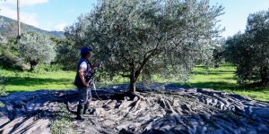 Απίστευτα πράγματα στη Νάξο λόγω ΟΠΕΚΕΠΕ: «Παππούς ήρθε να δηλώσει κτήμα και ήταν ήδη δηλωμένο» Απίστευτα πράγματα στη Νάξο λόγω ΟΠΕΚΕΠΕ: «Παππούς ήρθε να δηλώσει κτήμα και ήταν ήδη δηλωμένο»