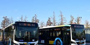 Βοτανικός: Οδηγοί λεωφορείων τσακώθηκαν άγρια - Ο ένας παρέσυρε με το βαρύ όχημα τον συνάδελφό του Βοτανικός: Οδηγοί λεωφορείων τσακώθηκαν άγρια - Ο ένας παρέσυρε με το βαρύ όχημα τον συνάδελφό του