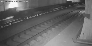 ΕΛΑΣ για βίντεο Τεμπών: Καμία παραποίηση - Αποπροσανατολισμός οποιαδήποτε αντίθετη αναφορά ΕΛΑΣ για βίντεο Τεμπών: Καμία παραποίηση - Αποπροσανατολισμός οποιαδήποτε αντίθετη αναφορά