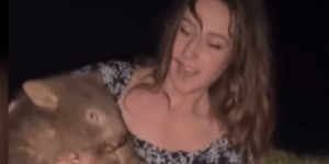 Απίστευτο: Influencer άρπαξε προστατευόμενο ζώο από τη μαμά του στη Αυστραλία - Διεθνής κατακραυγή Απίστευτο: Influencer άρπαξε προστατευόμενο ζώο από τη μαμά του στη Αυστραλία - Διεθνής κατακραυγή