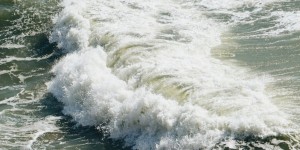 Συναγερμός στην Αυστραλία: Νεκρά ψάρια και σέρφερς με αναπνευστικά προβλήματα από... θαλασσινό αφρό Συναγερμός στην Αυστραλία: Νεκρά ψάρια και σέρφερς με αναπνευστικά προβλήματα από... θαλασσινό αφρό